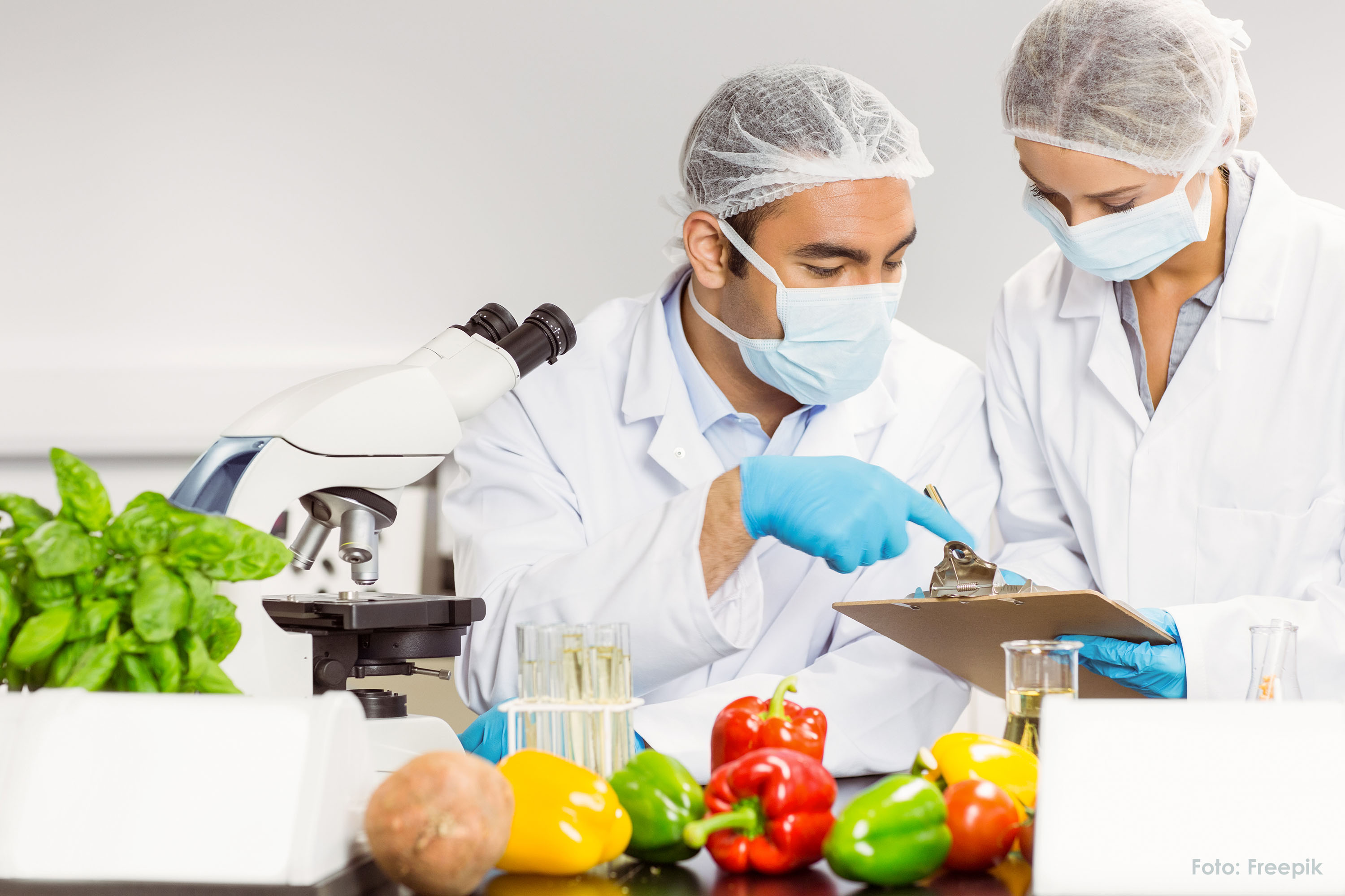 Biotecnología de Alimentos Mayo-Agosto-2021