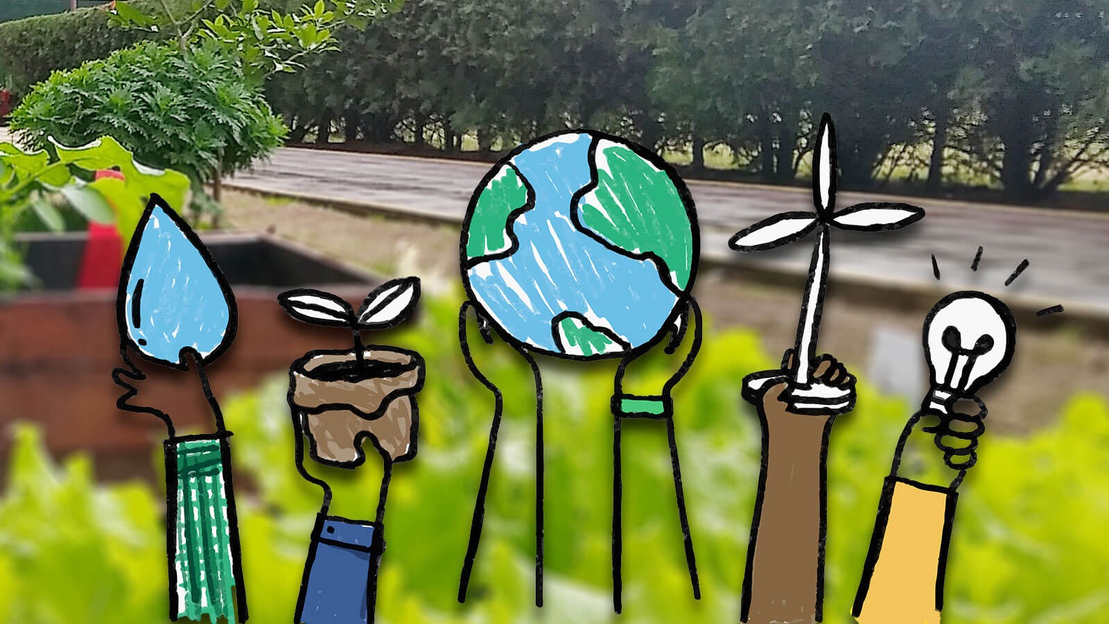 Proyectos Ambientales para la Protección y Conservación del Entorno Comunitario